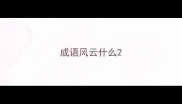 成语风云什么