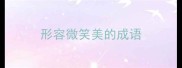 形容微笑美的成语