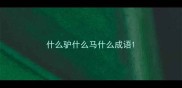 什么驴什么马什么成语