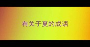 有关于夏的成语