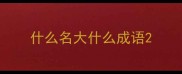 什么名大什么成语