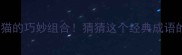 成语谜题车与猫的巧妙组合猜猜这个经典成语的由来与寓意