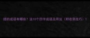 搂的成语有哪些这10个四字成语及用法附收录技巧
