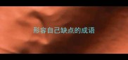 形容自己缺点的成语
