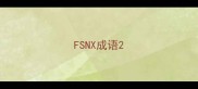 FSNX成语
