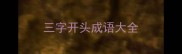 三字开头成语大全