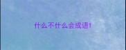 什么不什么会成语