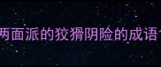 两面派的狡猾阴险的成语
