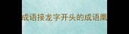 成语接龙字开头的成语凰