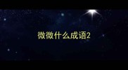 微微什么成语