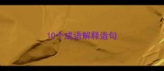 10个成语解释造句