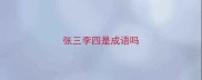 张三李四是成语吗