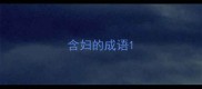 含妇的成语