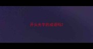 开头光字的成语吗