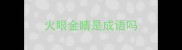 火眼金睛是成语吗