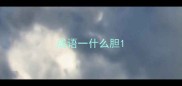 成语一什么胆