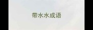 带水水成语
