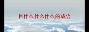目什么什么什么的成语