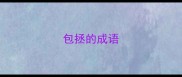 包拯的成语