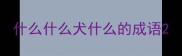 什么什么犬什么的成语