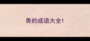 畏的成语大全