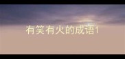 有笑有火的成语