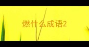 燃什么成语