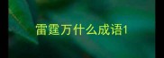 雷霆万什么成语