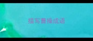 描写曹操成语