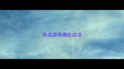 努成语有哪些成语