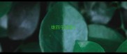 雄四字成语