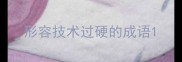 形容技术过硬的成语