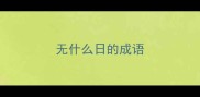 无什么日的成语