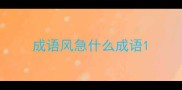 成语风急什么成语