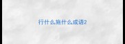 行什么施什么成语