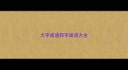 大字成语四字成语大全