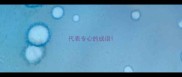 代表专心的成语