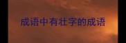 成语中有壮字的成语