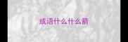 成语什么什么箭