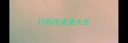 行四字成语大全