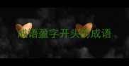 成语盈字开头的成语