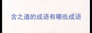 含之道的成语有哪些成语