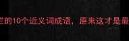 口语化口无遮拦的10个近义词成语原来这才是最地道的表达