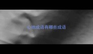心地成语有哪些成语