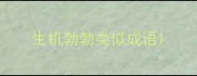生机勃勃类似成语