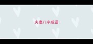 夫妻八字成语