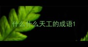 什么什么天工的成语