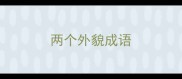两个外貌成语