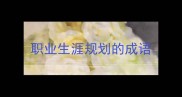 职业生涯规划的成语