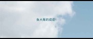 鱼大雁的成语